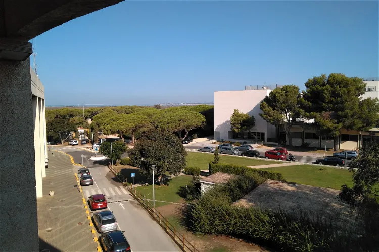 Bahía de Cádiz Natural Park