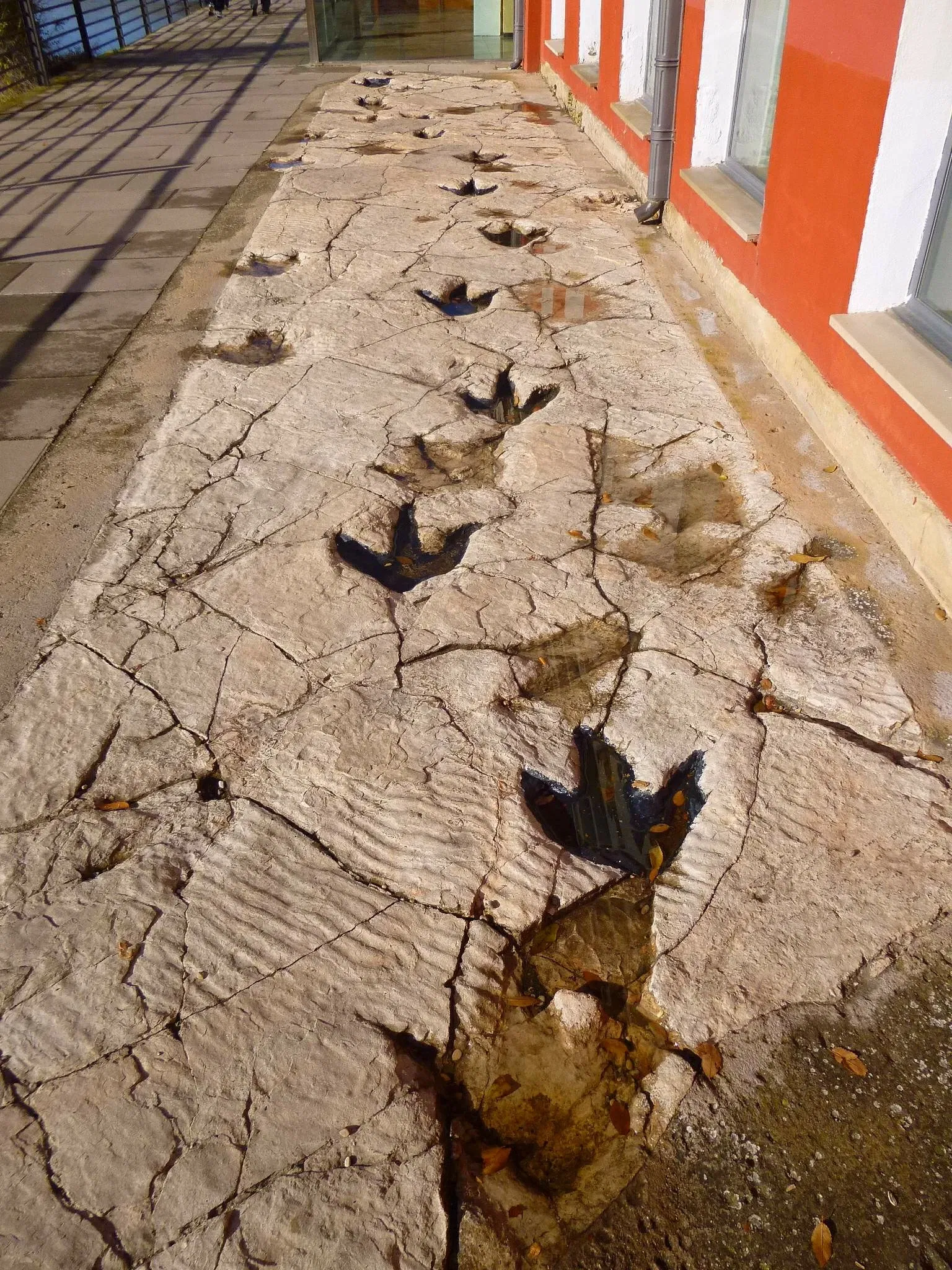 Casa de las Ciencias