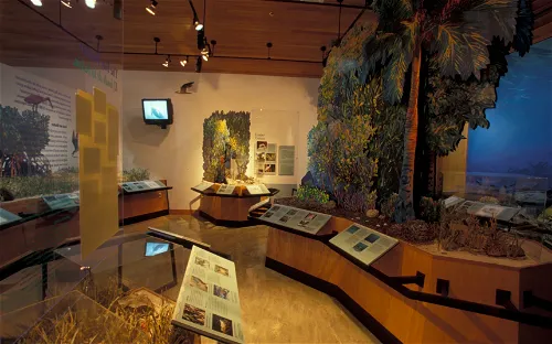 Dante Fascell Visitor Center - Biscayne National Park