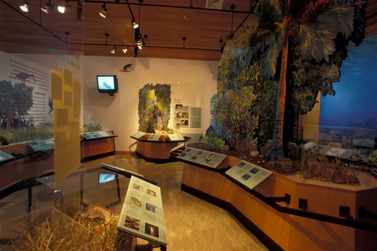 Dante Fascell Visitor Center - Biscayne National Park