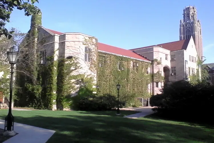Institut oriental de Chicago