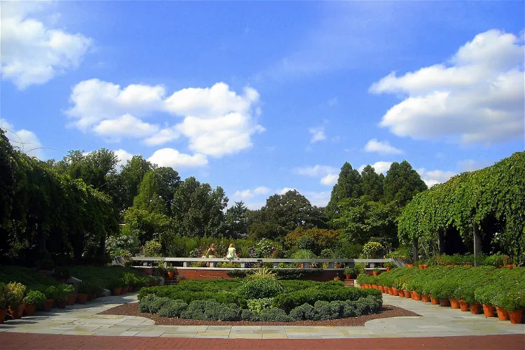 Arboretum Nacional de Estados Unidos