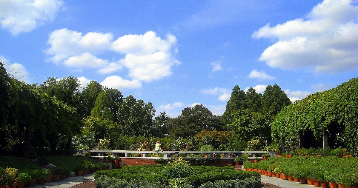 Arboretum Nacional de Estados Unidos (Washington) Información para