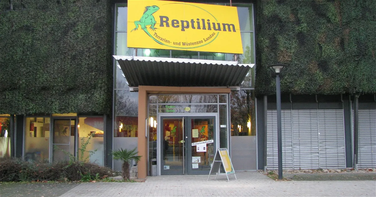 Landau landau outlet