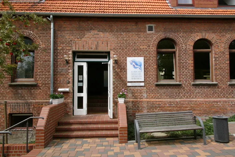 Kurioses Muschel-Museum Wremen