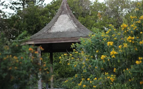 San Francisco Botanical Garden