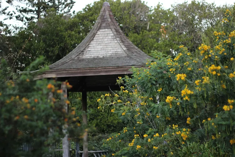 San Francisco Botanical Garden