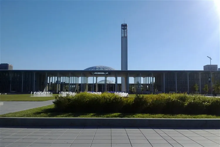 Universidad de Albany