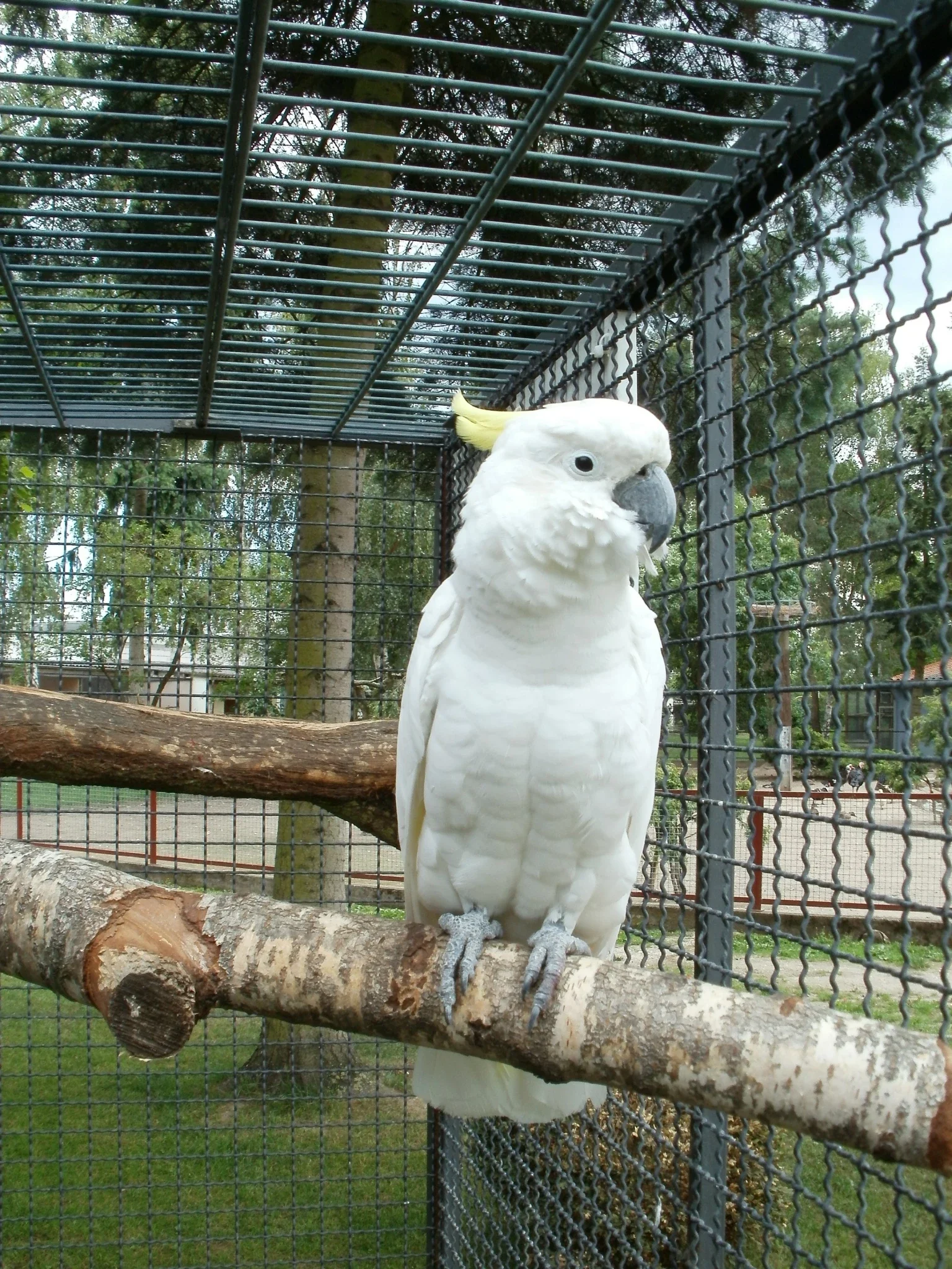 Vogelpark