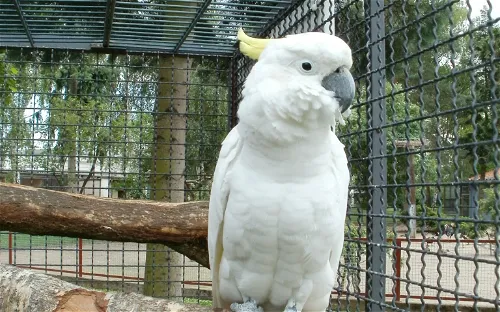 Vogelpark