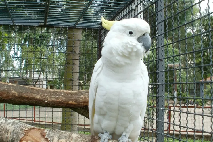 Vogelpark