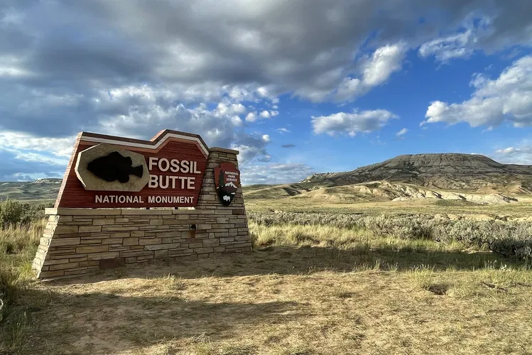 Monument national de Fossil Butte