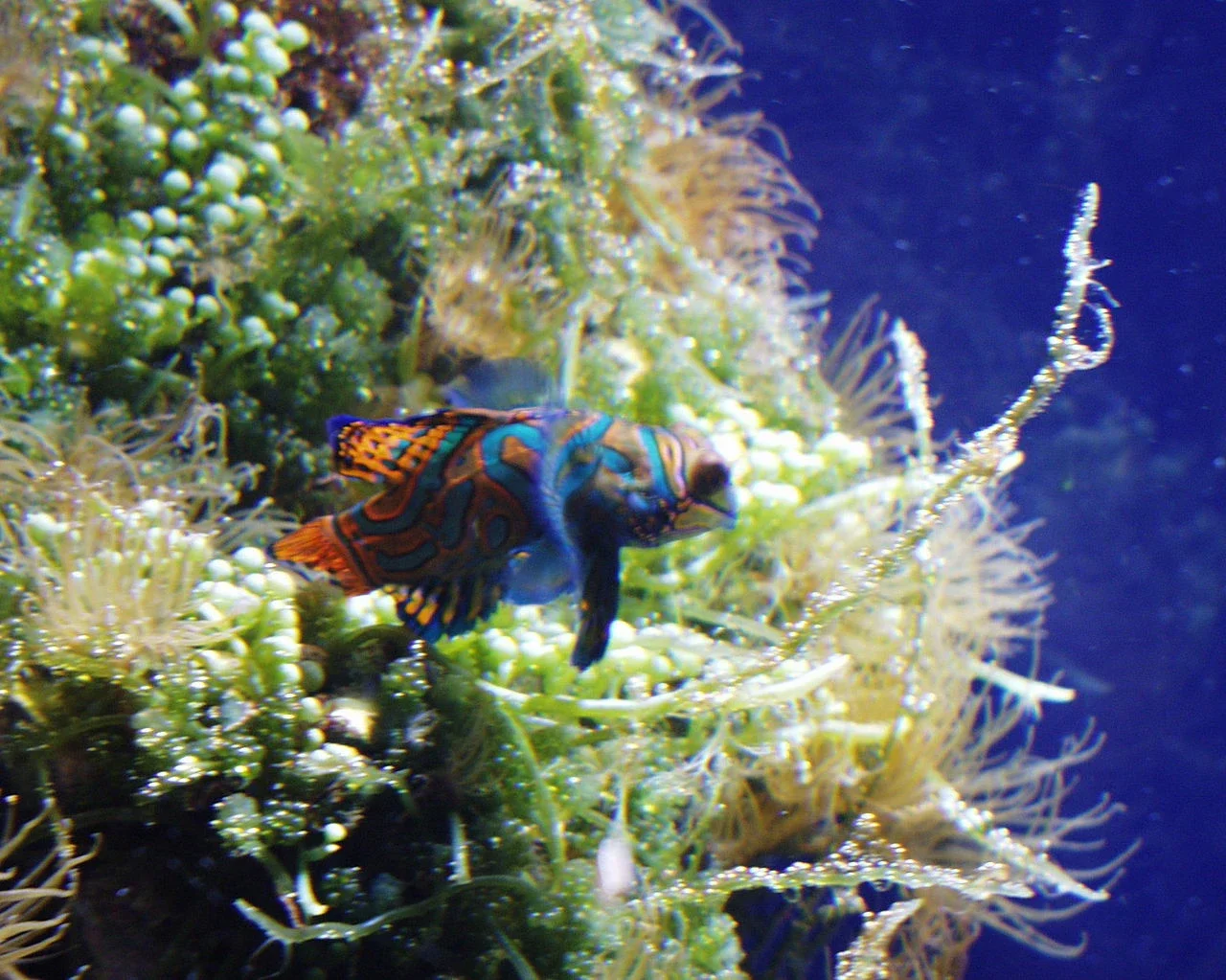 Meereszentrum Fehmarn