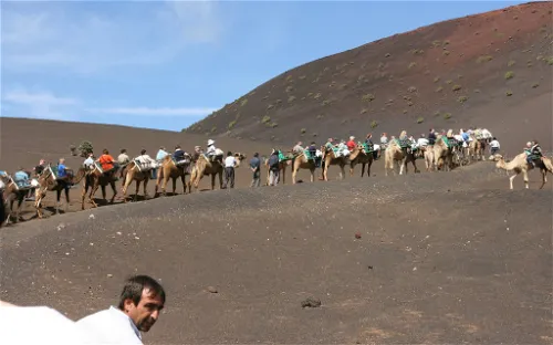 Lanzarote Safaris