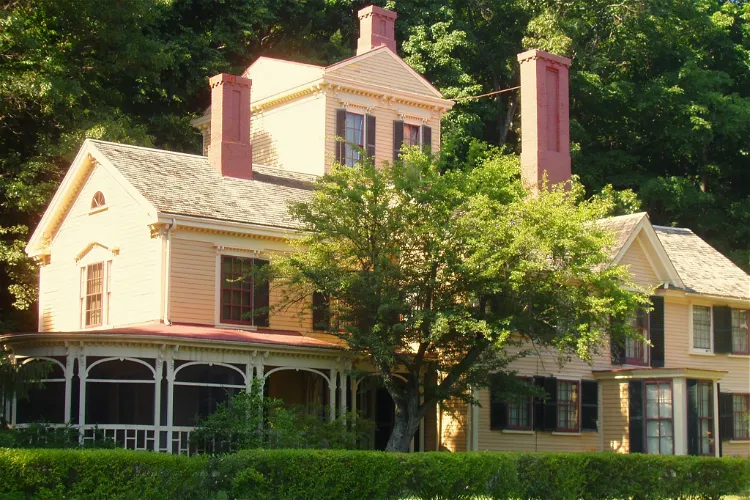 The Wayside