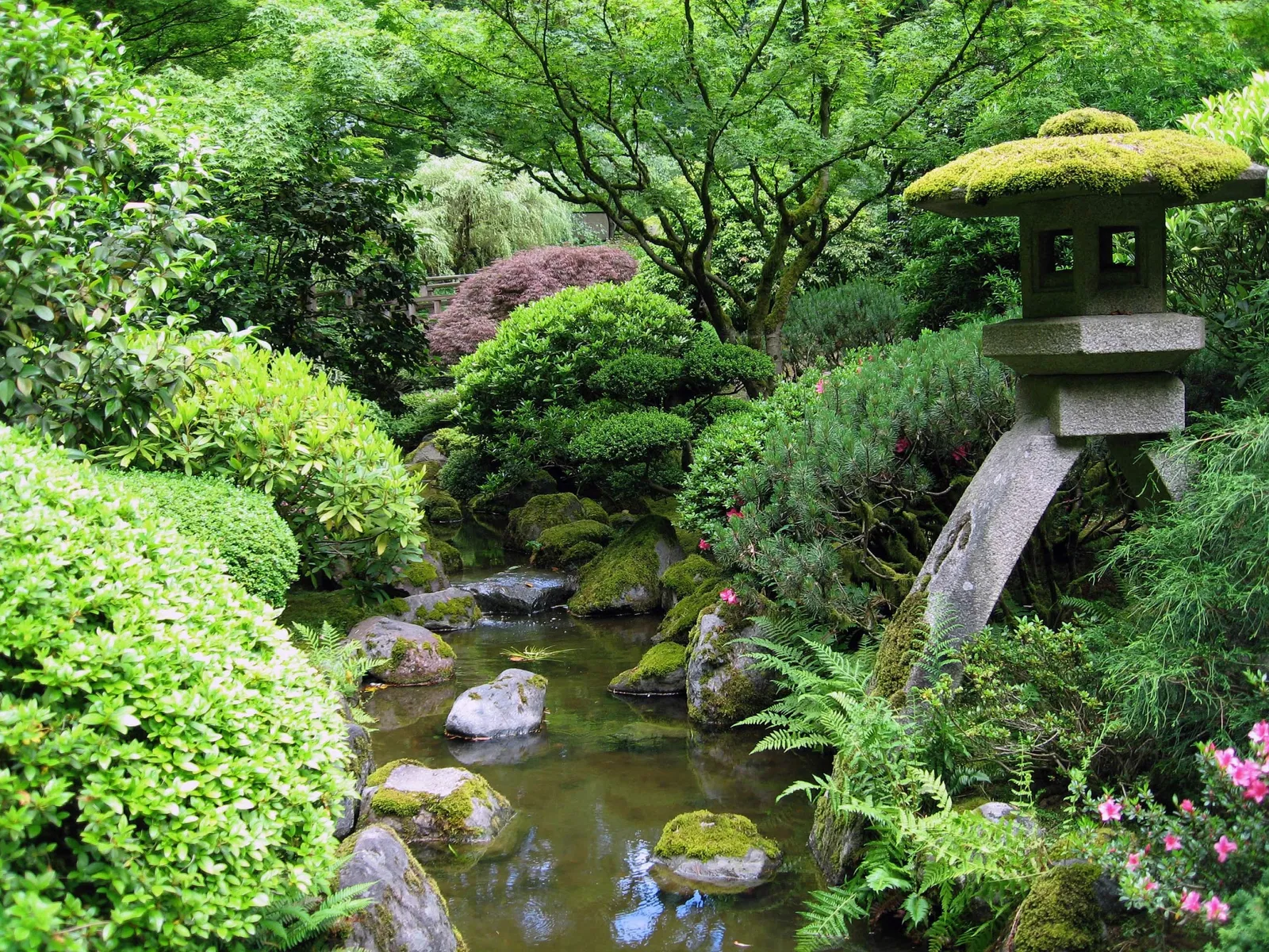 Jardín japonés de Portland