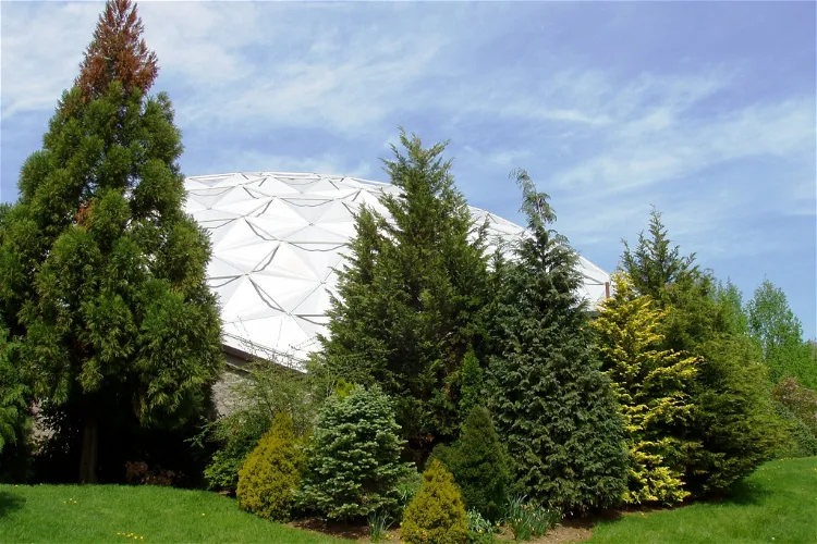 Arboreto y parque estatal Dinosaurio