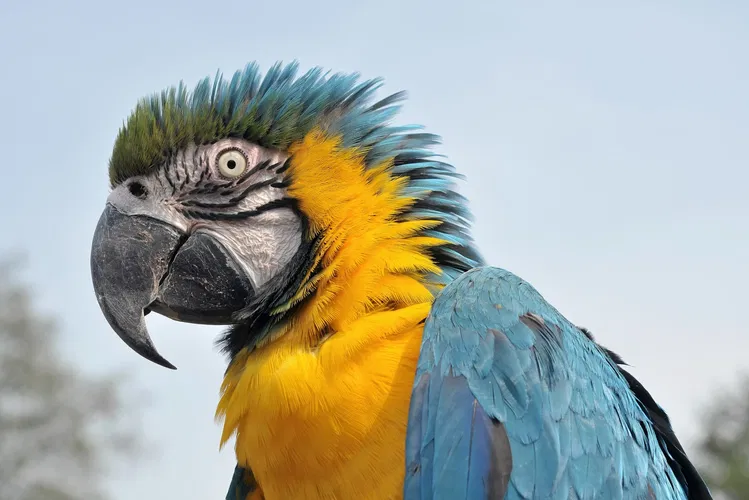 Vogelpark Walsrode