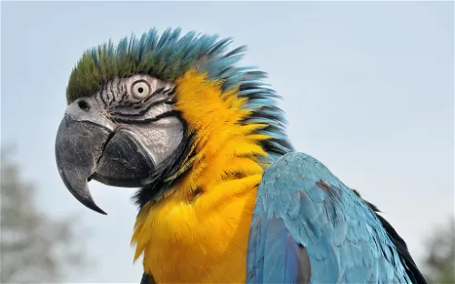 Weltvogelpark Walsrode