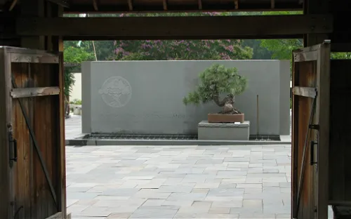 National Bonsai Foundation
