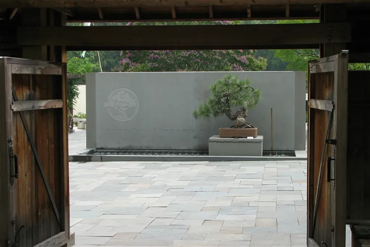National Bonsai Foundation