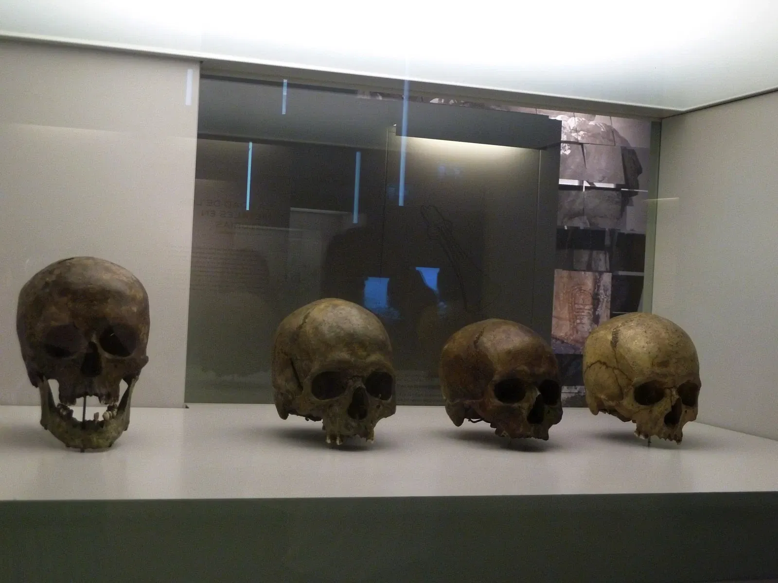 Museo Arqueológico de Asturias