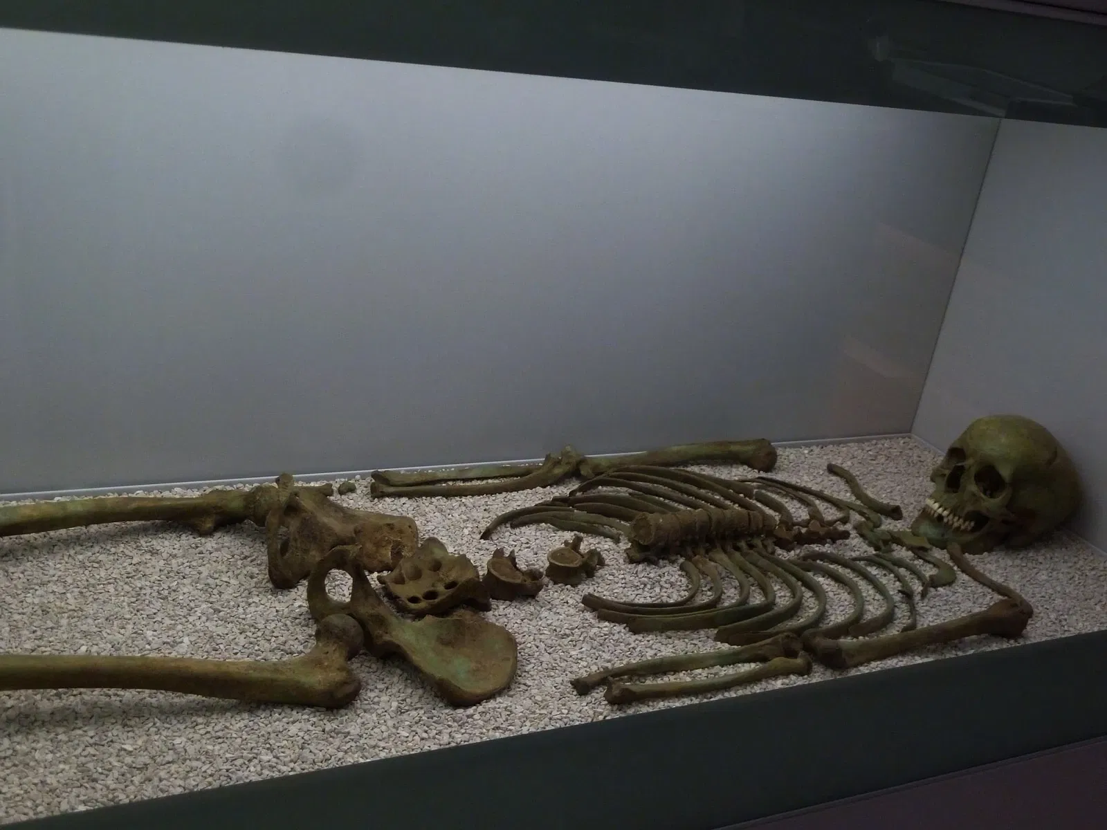 Archaeological Museum of Asturias