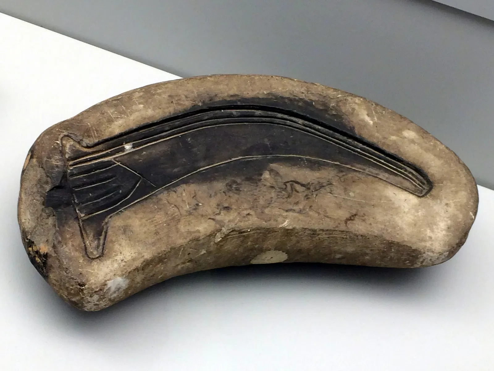 Museo Arqueológico de Asturias