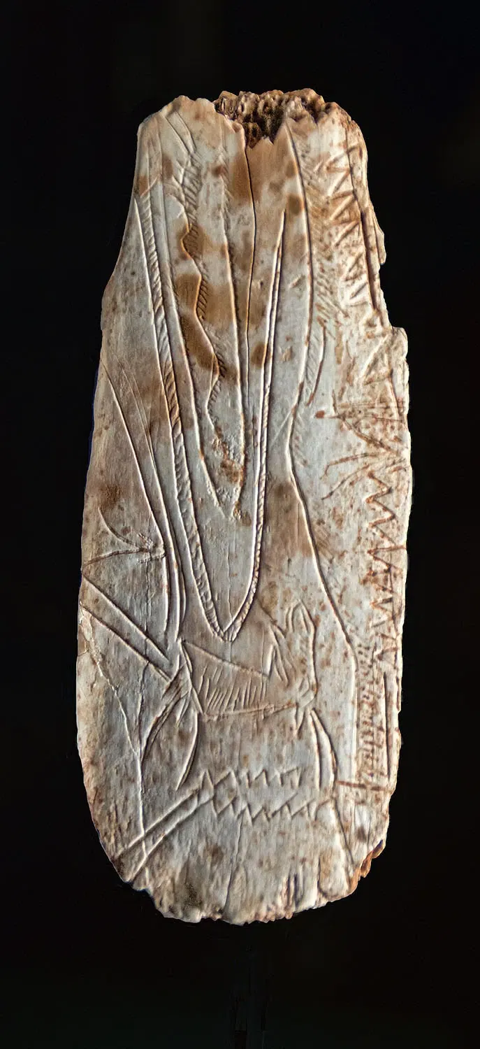 Archaeological Museum of Asturias