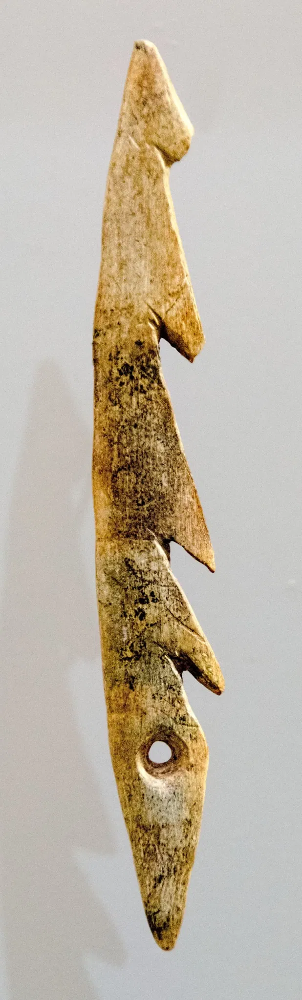 Archaeological Museum of Asturias