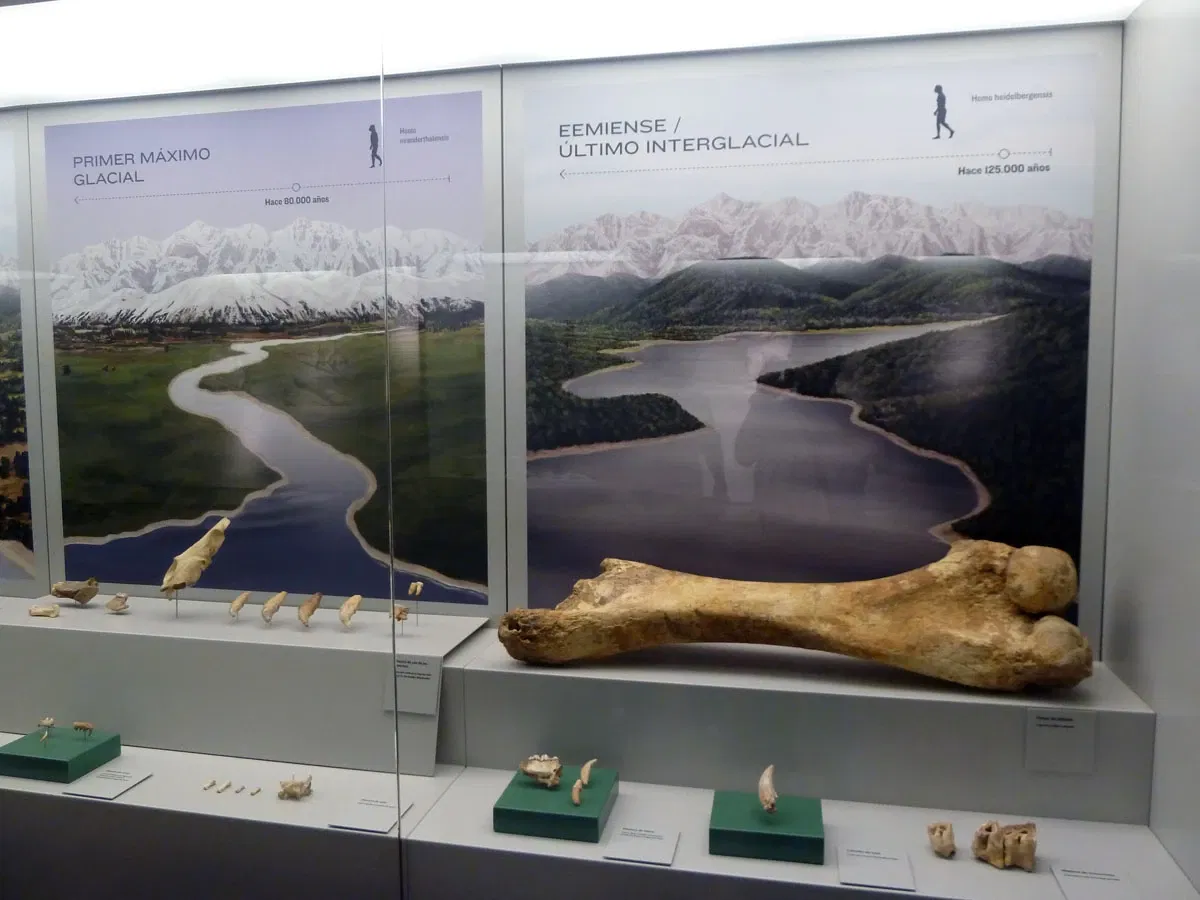 Archaeological Museum of Asturias