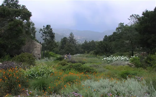 Santa Barbara Botanic Garden