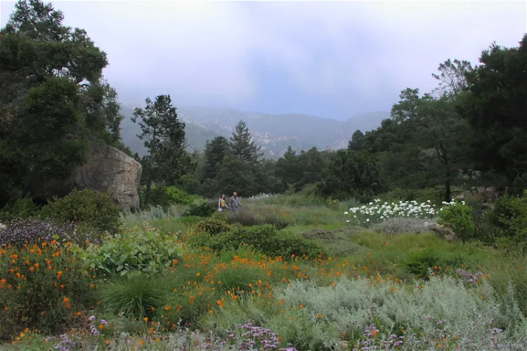 Santa Barbara Botanic Garden