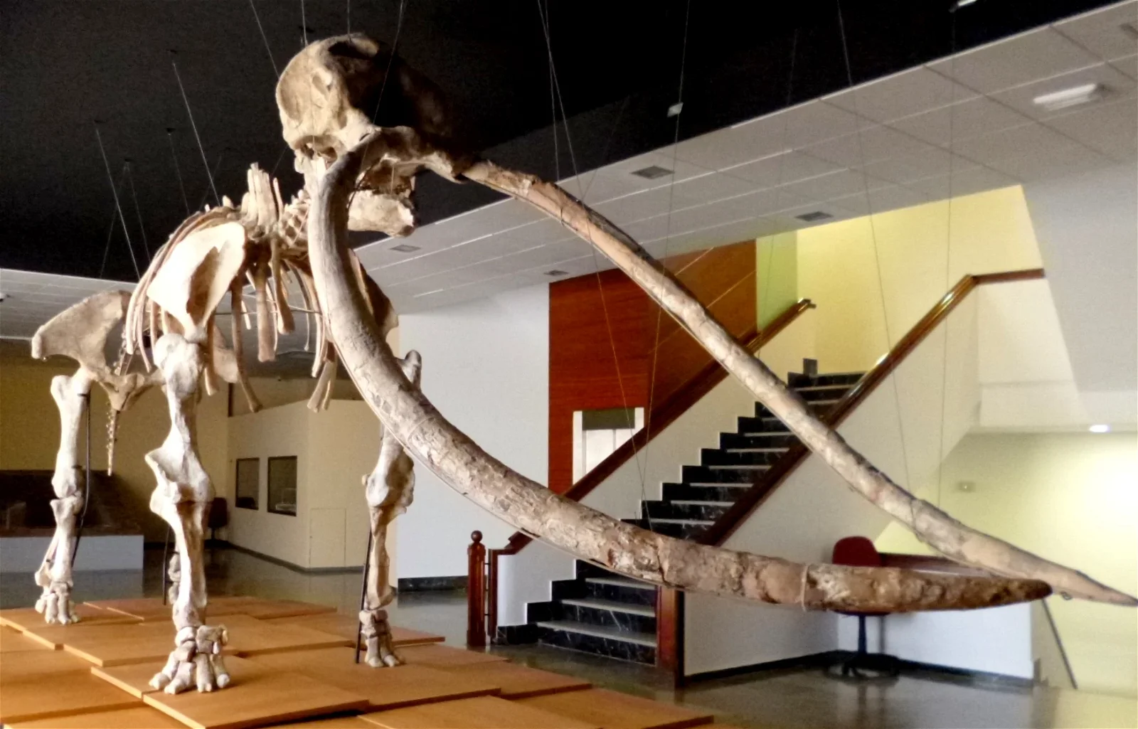 Museo de Ciudad Real