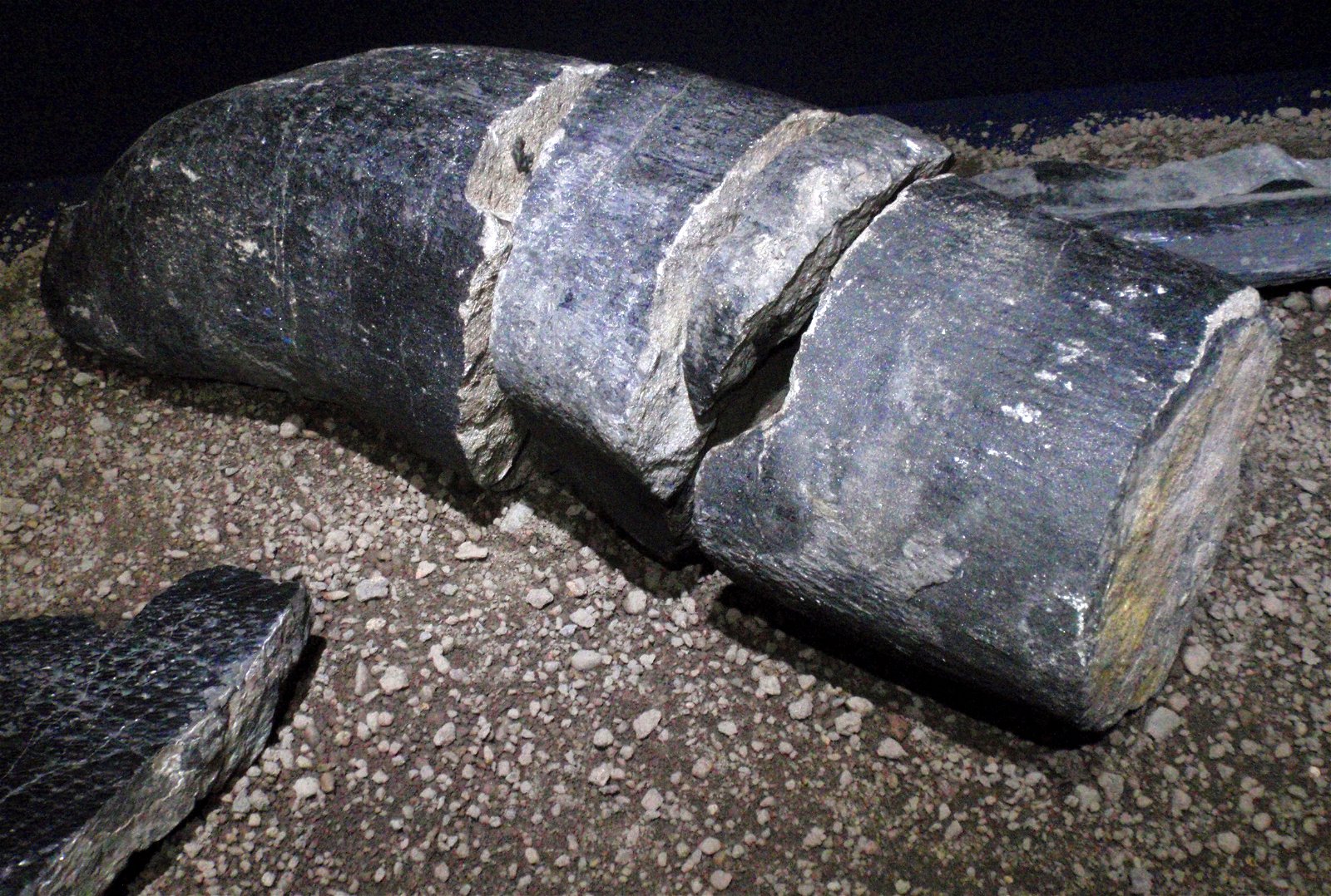 Museo Elder de la Ciencia y la Tecnología