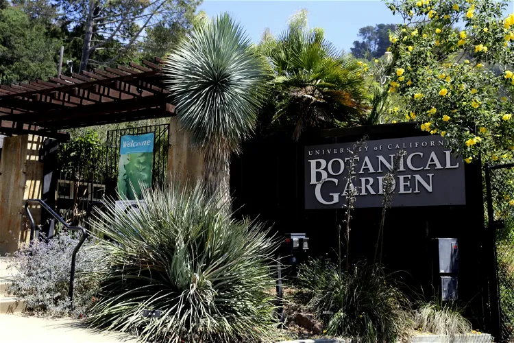 UC Botanical Garden