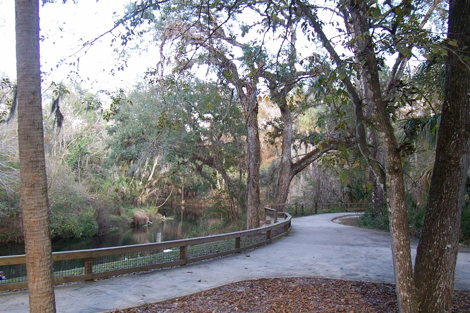 Hillsborough River State Park