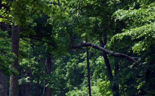 Fort Ancient Earthworks & Nature Preserve