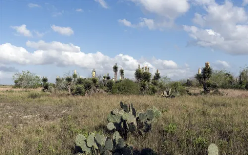 Palo Alto Battlefield National Historical Park