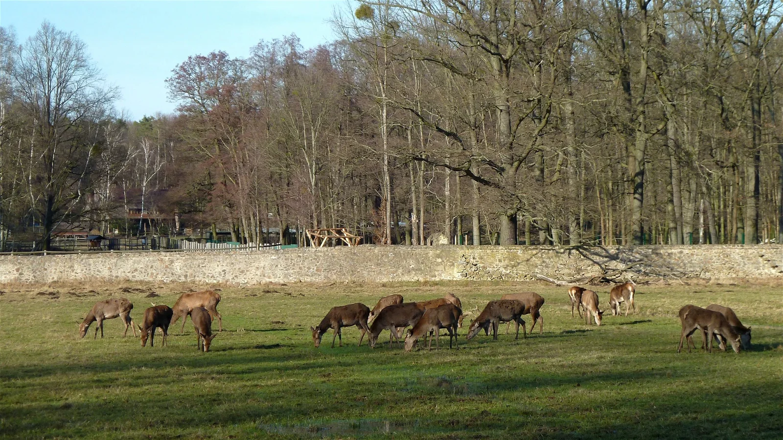 Wildgehege Moritzburg