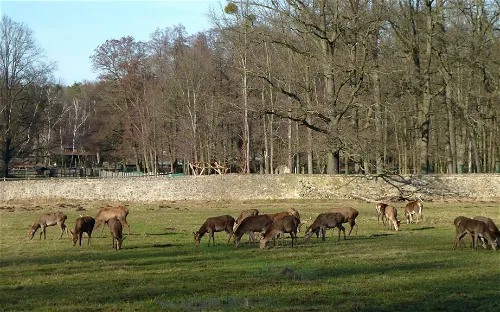 Wildgehege Moritzburg