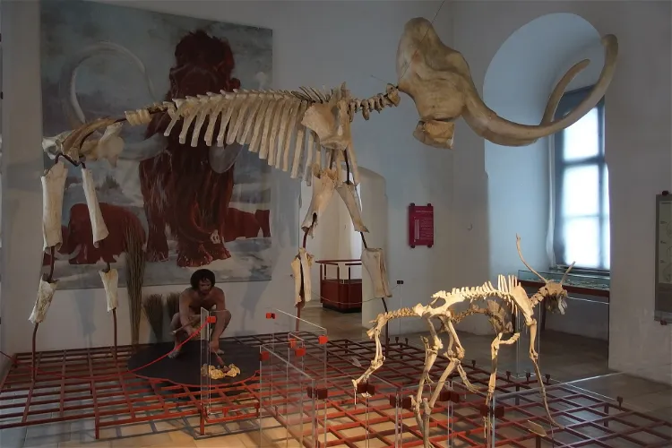 Museum für Ur- und Frühgeschichte