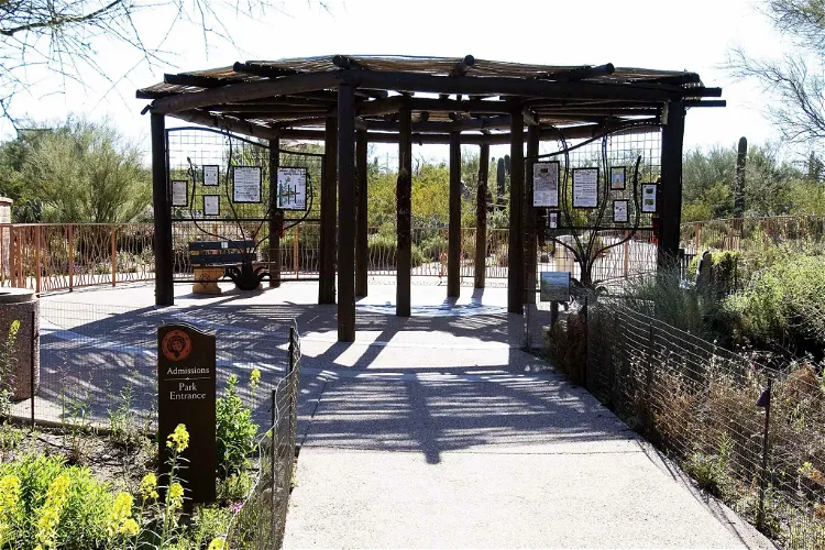Tohono Chul Park
