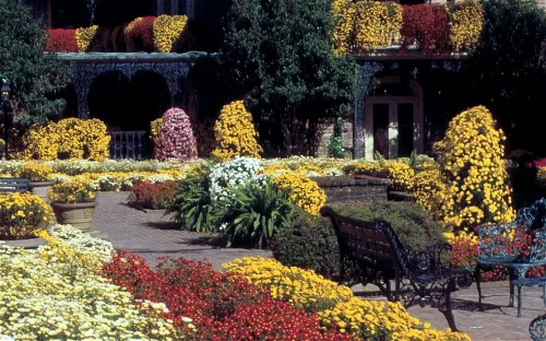 Bellingrath Gardens and Home