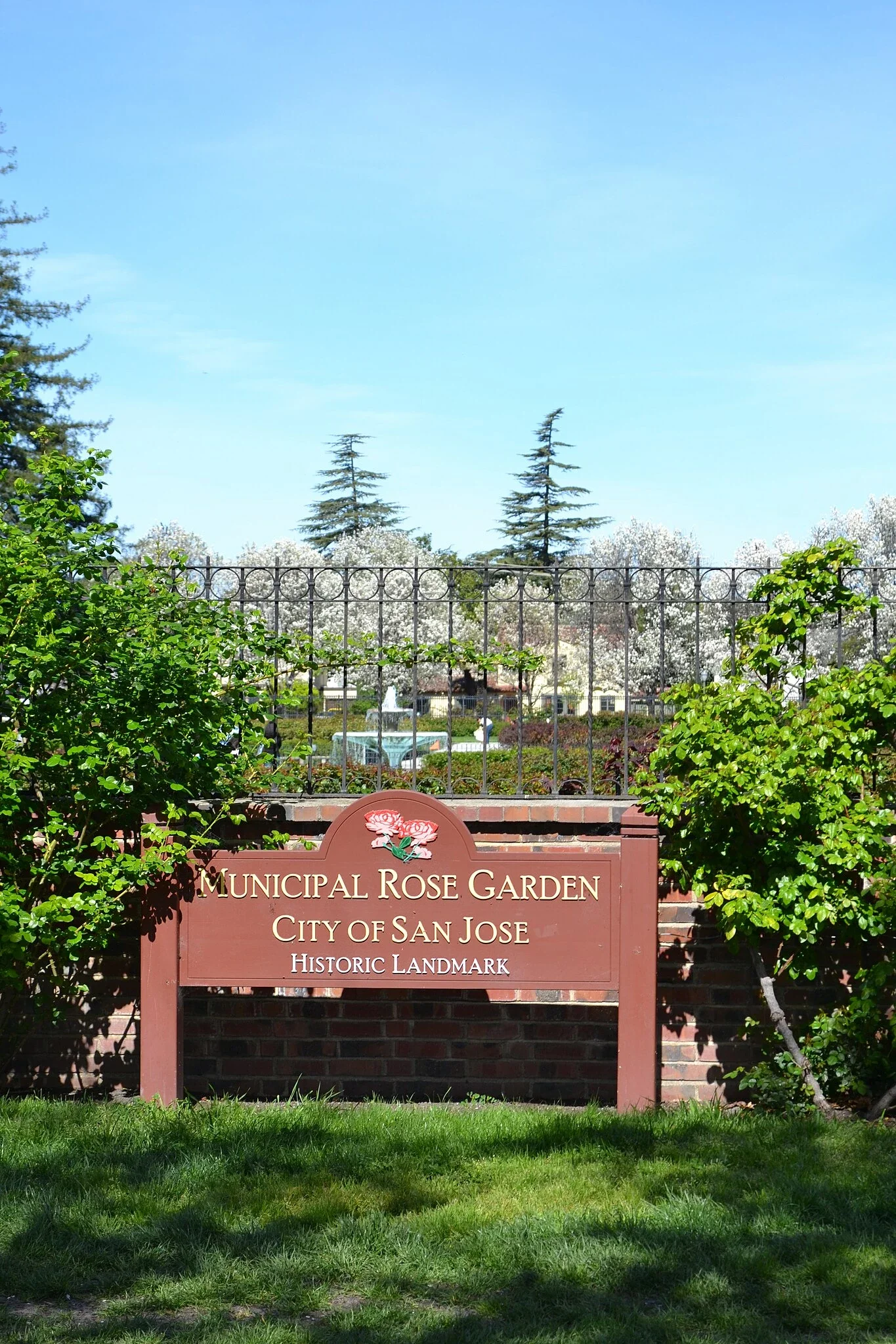 Municipal Rose Garden