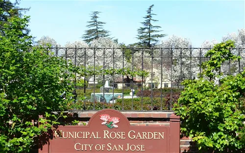 Municipal Rose Garden