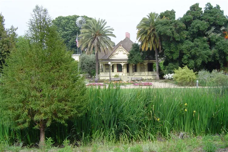 Fullerton Arboretum
