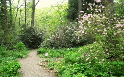 Garden in the Woods