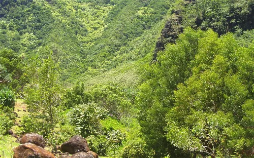 Limahuli Garden and Preserve