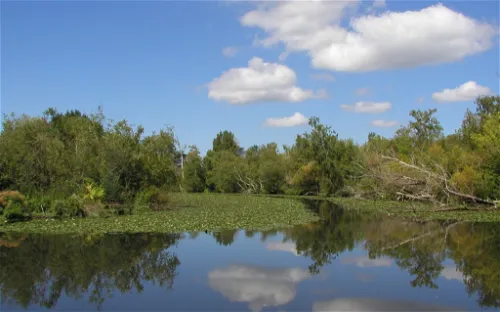 Washington Park Arboretum